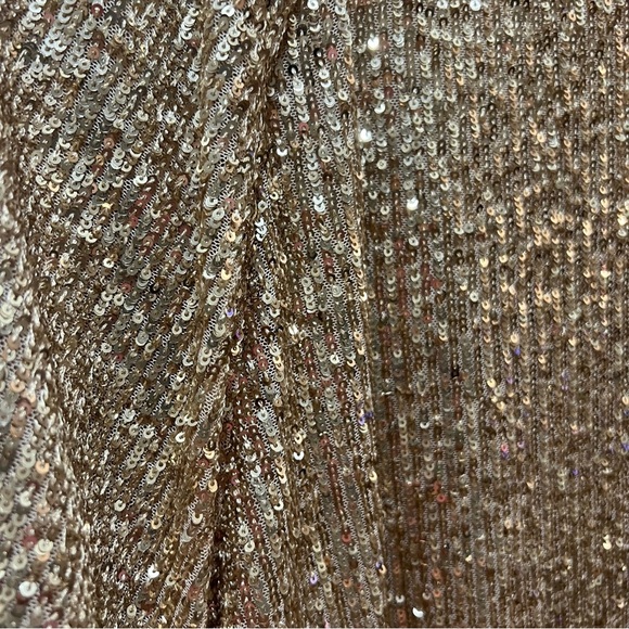 Ann Taylor gold sequin raglan sleeve top  short sleeves large NWT - Picture 5 of 8